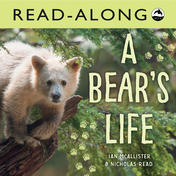 A Bear's Life Read-Along