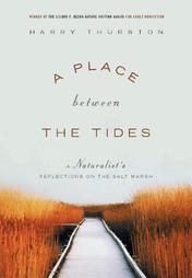 A Place Between the Tides