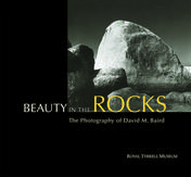 Beauty in the Rocks