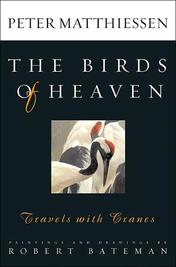 Birds of Heaven, The