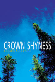 Crown Shyness