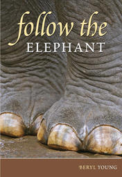 Follow the Elephant