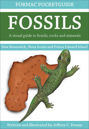 Formac Pocketguide to Fossils