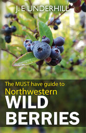 Guide to Northwestern Wild Berries