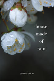 House Made of Rain