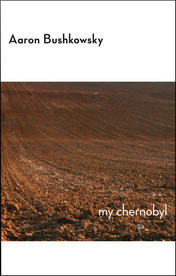 My Chernobyl