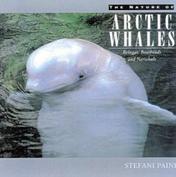 Nature of Arctic Whales