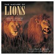 Nature Of Lions