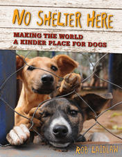 No Shelter Here