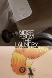 Noise from the Laundry