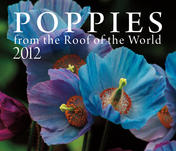 Poppies from the Roof of the World