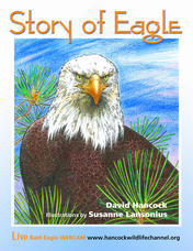 Story of Eagle Activity &amp; Coloring Book