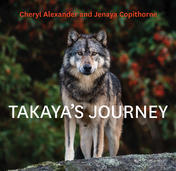 Takaya's Journey