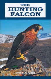 The Hunting Falcon