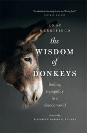 The Wisdom of Donkeys