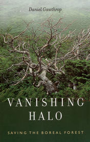 Vanishing Halo