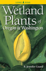 Wetland Plants of Oregon and Washington