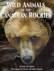 Wild Animals of the Canadian Rockies