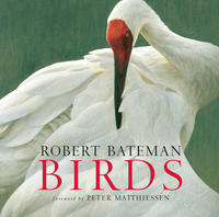 Book Cover Birds