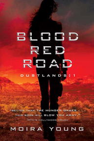 Book Cover Blood Red Road