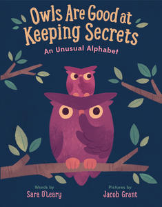 Book Cover Owls Are Good at Keeping Secets