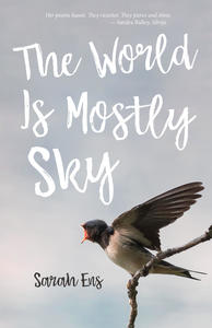 Book Cover The World is Mostly Sky
